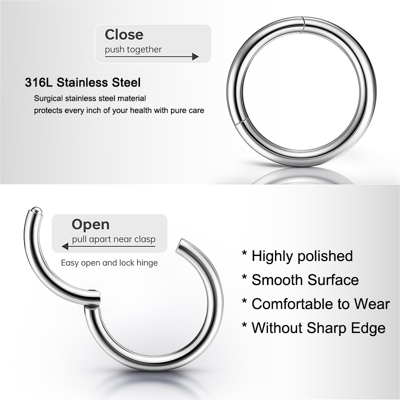 16G 316L Surgical Steel Hinged - огляд і ціна Body Jewelry Earrings