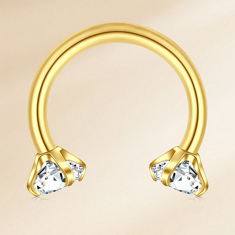 16G Septum Rings Stainless Ste - огляд і ціна Body Jewelry Earrings