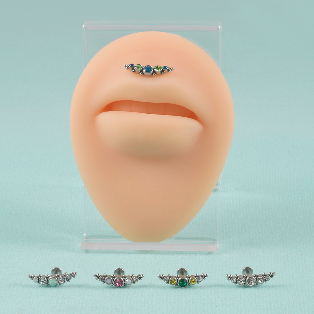 1PC 316L Surgical Steel 16G  C - огляд і ціна Cluster Stud Ear